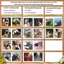 Mia's Pet Supply Rabbit Houses & Accessories Multipurpose Rabbits Hamster Vest Harness