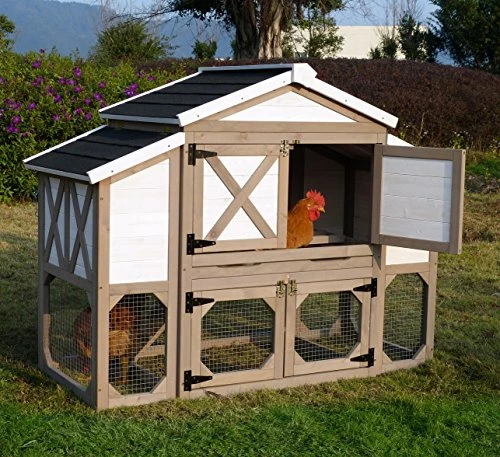 Coupon π Mia's Pet Supply Zoovilla Country Style Chicken Coop Metal Nest Box π― 4 Mia's Pet Supply Zoovilla Country Style Chicken Coop Metal Nest Box
