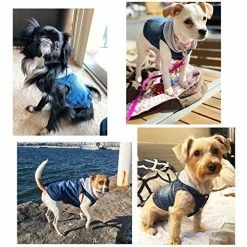 Wholesale π Mia's Pet Supply Cool Blue Denim π§₯ Coat Small Medium π Dogs Apparel π₯ 12 Mia's Pet Supply Cool Blue Denim Coat Small Medium Dogs Apparel