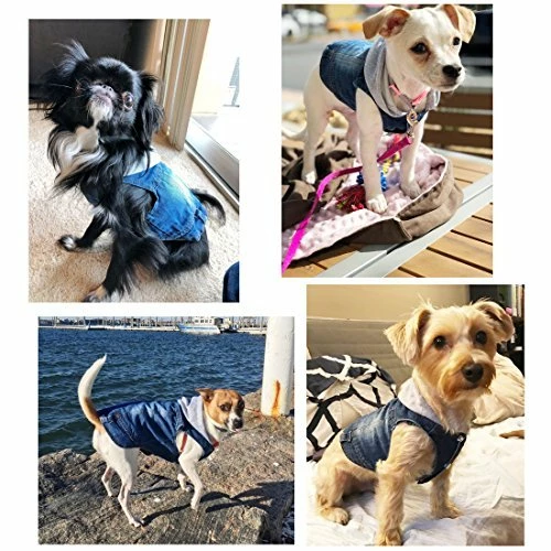Wholesale π Mia's Pet Supply Cool Blue Denim π§₯ Coat Small Medium π Dogs Apparel π₯ 6 Mia's Pet Supply Cool Blue Denim Coat Small Medium Dogs Apparel