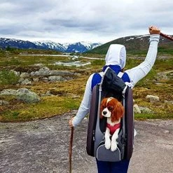 Hot Sale ๐ Mia's Pet Supply Travel : Ibiyaya 5 In 1 Pet Carrier + ๐ Backpack + Car Seat + Pet Carrier Stroller + Carriers With Wheels For ๐ฆฎ Dogs And Cats All In ONE (Brown) : Pet Supplies ๐ 18 Mia's Pet Supply Travel : Ibiyaya 5 In 1 Pet Carrier + Backpack + Car Seat + Pet Carrier Stroller + Carriers With Wheels For Dogs And Cats All In ONE (Brown) : Pet Supplies