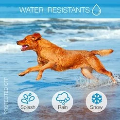 Cheapest ๐คฉ Mia's Pet Supply : ๐ถ Dog Rook ๐ถ Dog Bark Collar ๐ 15 Mia's Pet Supply : Dog Rook Dog Bark Collar