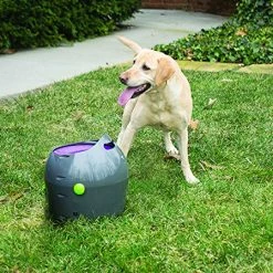Mia's Pet Supply : PetSafe Automatic Ball Launcher Dog Toy, Tennis Ball Throwing Machine For Dogs