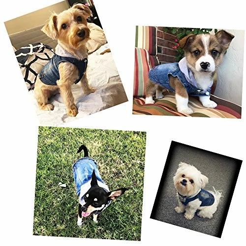 Wholesale π Mia's Pet Supply Cool Blue Denim π§₯ Coat Small Medium π Dogs Apparel π₯ 5 Mia's Pet Supply Cool Blue Denim Coat Small Medium Dogs Apparel