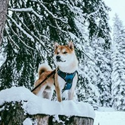 Mia's Pet Supply Leashes And Harness : Embark Adventure Harness For Dogs