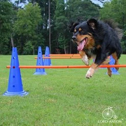 Mia's Pet Supply Training : Dog Agility Hurdle Cone Set