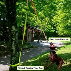 Mia's Pet Supply Dog Toys Outdoor Hanging Bungee Dog Tug Toy, Interactive Tug-of-War