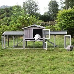 Best Pirce ✔️ Mia's Pet Supply Aivituvin 87.8''L Extra Large Chicken Coop, Rabbit House Rabbit Houses & Accessories 🛒 11 Mia's Pet Supply Aivituvin 87.8''L Extra Large Chicken Coop, Rabbit House Rabbit Houses & Accessories