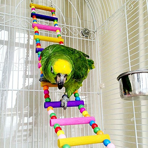 Discount ✨ Mia's Pet Supply : Bird Cage Accessories Decorative Birdcage Training Aviary & Perches ⌛ 2 Mia's Pet Supply : Bird Cage Accessories Decorative Birdcage Training Aviary & Perches