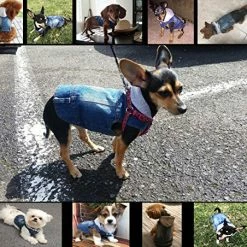 Mia's Pet Supply Cool Blue Denim Coat Small Medium Dogs Apparel