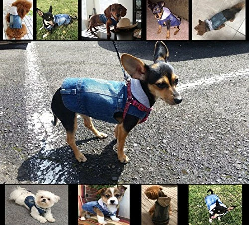Wholesale π Mia's Pet Supply Cool Blue Denim π§₯ Coat Small Medium π Dogs Apparel π₯ 2 Mia's Pet Supply Cool Blue Denim Coat Small Medium Dogs Apparel