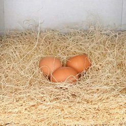 Mia's Pet Supply Rural365 Chicken Nest Box Liners 12 Pack - Chicken Coop Bedding, Chicken Coop Cages