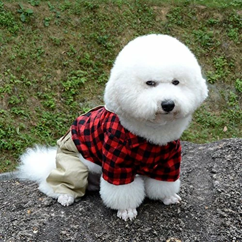 Hot Sale 🌟 Mia's Pet Supply Apparel : Pet Sweater With Khaki Overalls Pants 🔔 4 Mia's Pet Supply Apparel : Pet Sweater With Khaki Overalls Pants