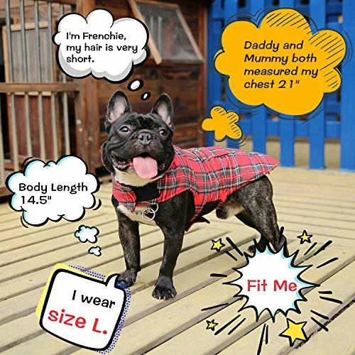 Best Sale 😉 Mia's Pet Supply Apparel KAMA BRIDAL Plaid 🐶 Dog Fleece Vest, Reversible Warm 🐶 Dog Clothes, 🥰 8 Mia's Pet Supply Apparel KAMA BRIDAL Plaid Dog Fleece Vest, Reversible Warm Dog Clothes,