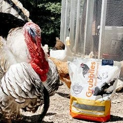 Mia's Pet Supply Chicken Coop Cages Grubblies World Harvest Healthy Natural Grubs For Chickens