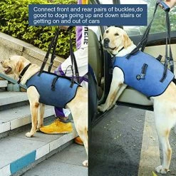 Wholesale ๐ Mia's Pet Supply Pet Support & Rehabilitation Sling Lift ๐ฏ 12 Mia's Pet Supply Pet Support & Rehabilitation Sling Lift