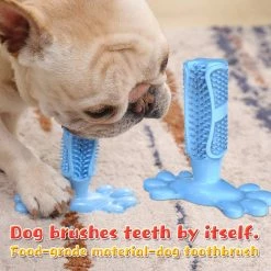 Mia's Pet Supply Dog Toothbrush Pet Chew Toy Dog Toothbrush Dog Toys