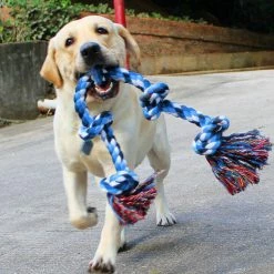 Mia's Pet Supply Tooth Cleaning Resistance To Bite Pet Toys Training Game