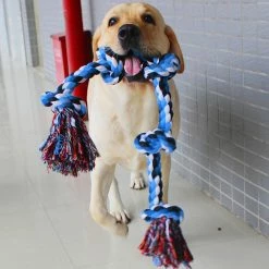 Mia's Pet Supply Tooth Cleaning Resistance To Bite Pet Toys Training Game