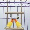 Mia's Pet Supply Swing Cage Hanging Bell Cockatiel Parakeet Toys