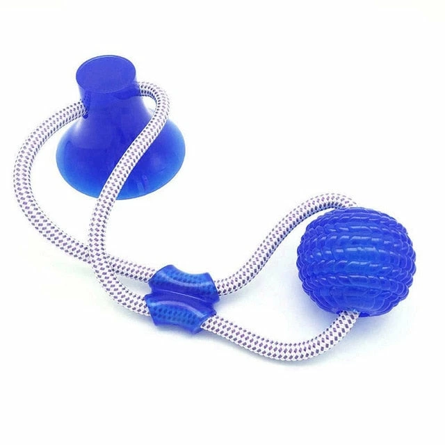 Deals ✨ Mia's Pet Supply 🐕 Dog Toys Tug 🐕 Dog Toy With Suction Cup Push Elastic Ropes 😀 16 Mia's Pet Supply Dog Toys Tug Dog Toy With Suction Cup Push Elastic Ropes